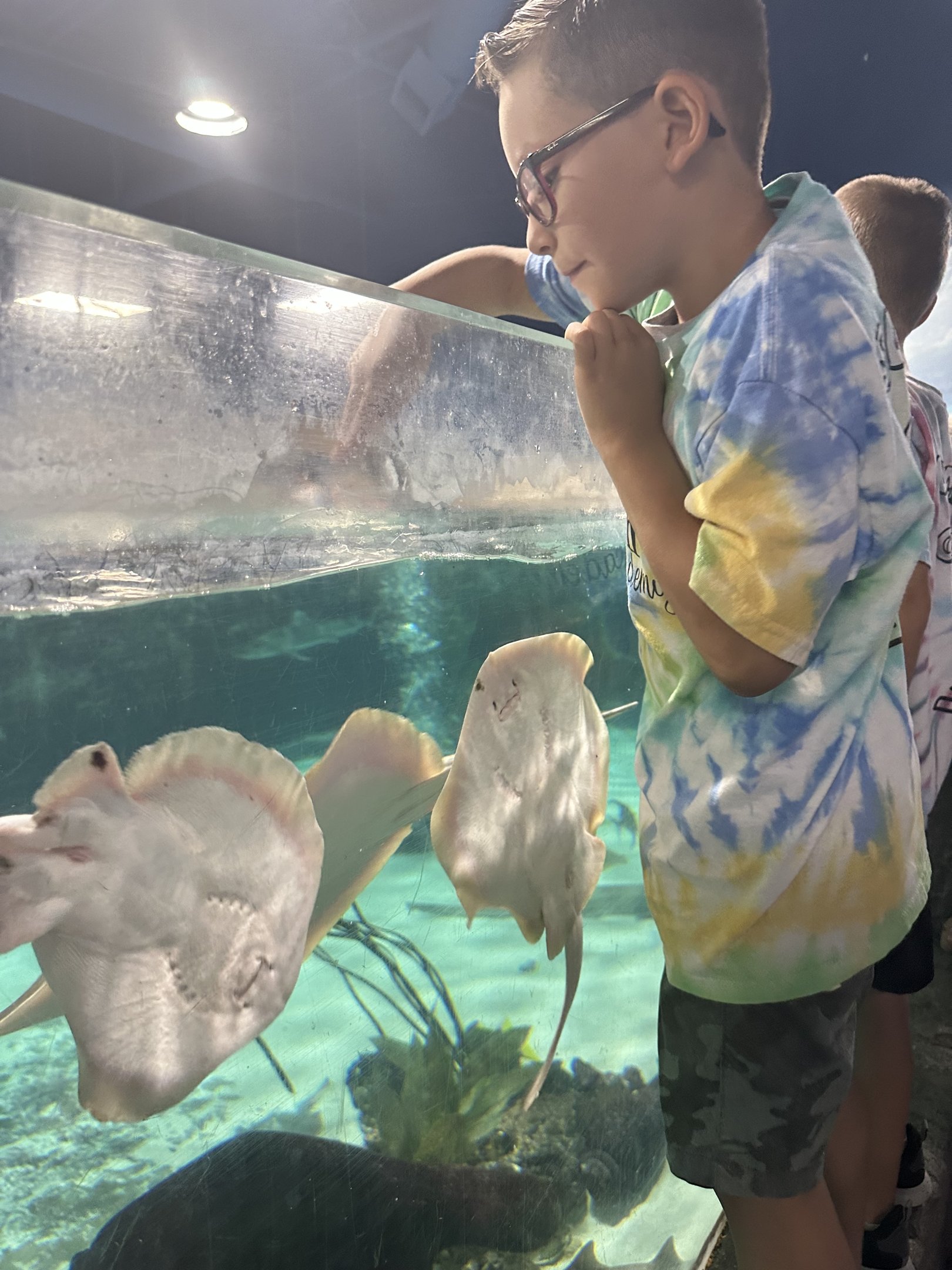 school background image